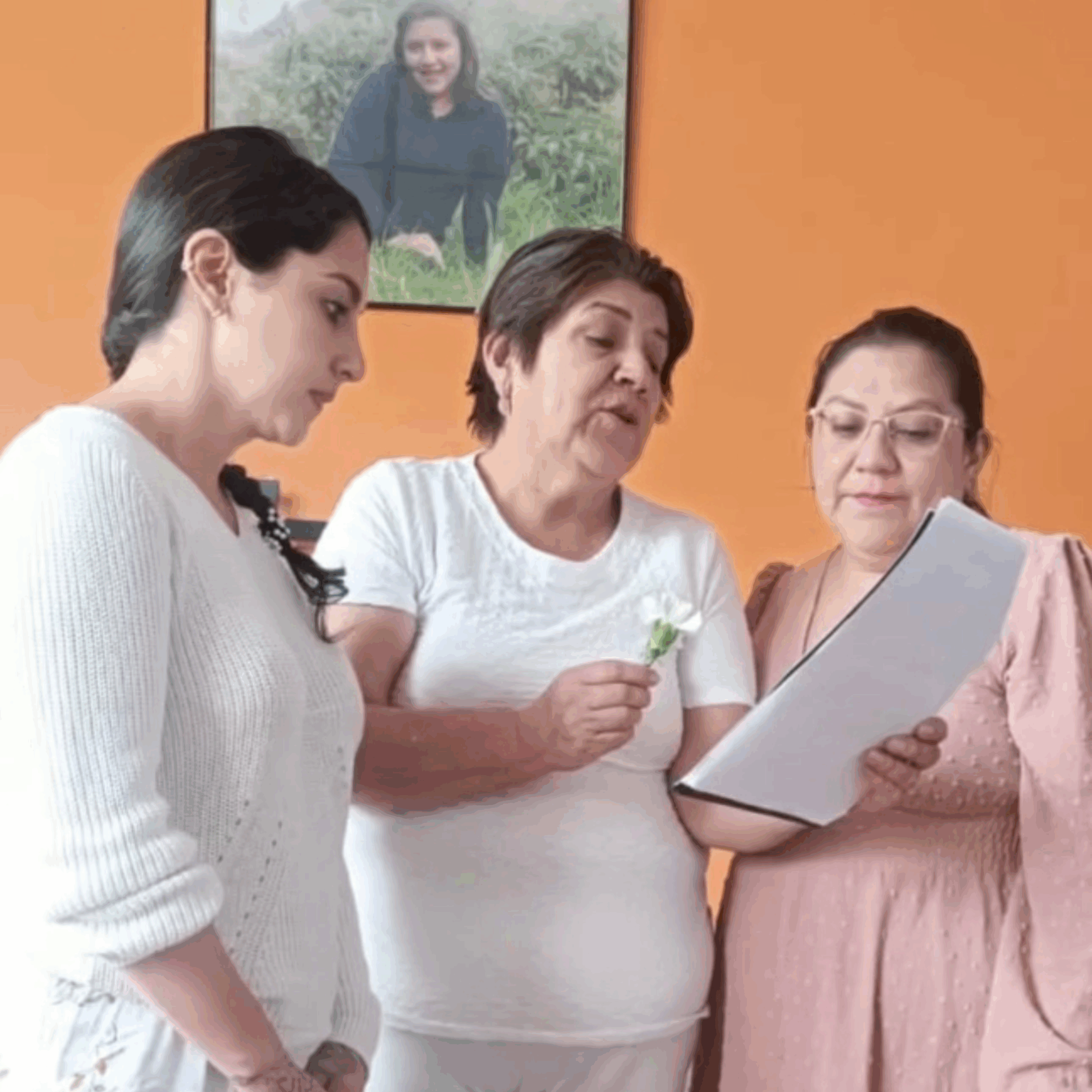 Cumple ok Cumpleaños Holístico (Cualquier Edad)