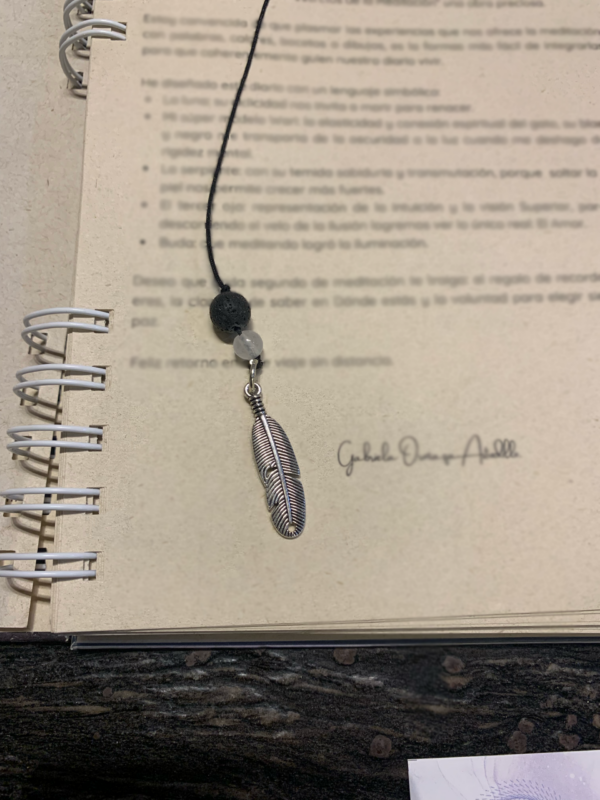 Diario de Meditación